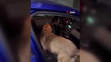 Otomobilin gizli bölgelerinden çok miktarda uyuşturucu madde ele geçirildi