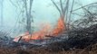 Incêndios na Amazônia batem recorde em agosto