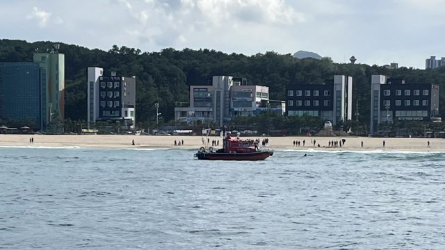 강원도 삼척 해변서 물놀이하던 남성 실종...해경 수색 / YTN