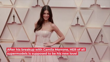 Hot Rumour: Is Leonardo DiCaprio Dating This Top Model Now?