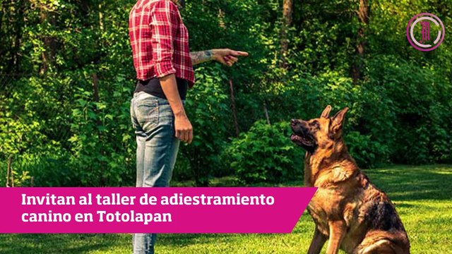 Atacan a balazos a 2 policías en Cuautla, esto y mucho más en Diario de Morelos Informa