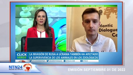 Denuncian crímenes de guerra contra el medio ambiente en Ucrania