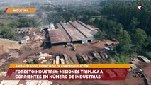 SALA CINCO | Forestoindustria: Misiones triplica a corrientes en número de industrias