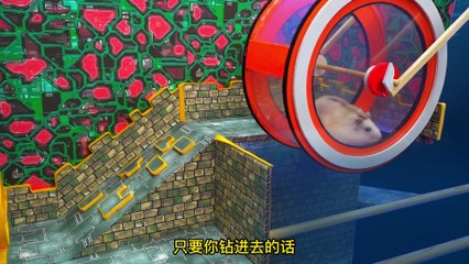 Little Hamster Adventures- Stargate Trap Challenge, can the difficult maze be escaped- - watermelon video