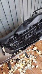 Left At Home Doggo Destroys Motorcycle Seat