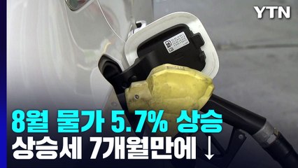 8월 물가 5.7%↑...상승세는 꺾였지만 여전히 "높아요" / YTN