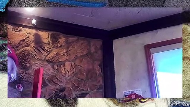 Having breakfast l picking up RX l Powerdirector 20.compressed