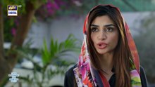 Mere Humsafar Episode 17    (English Subtitles)