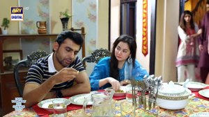 Mere HumSafar Episode 20   - 19th May 2022