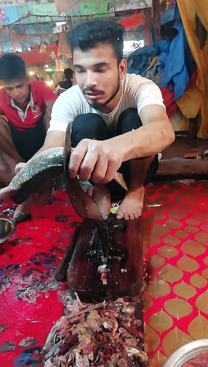 Amazing Fish Cutting Video