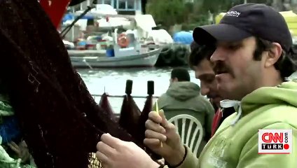 "Bu yıl palamudun yılı olacak"