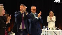 Albanese pledges to 