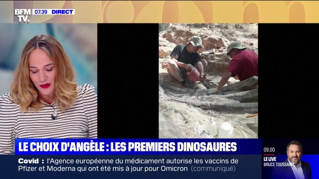 Le choix d'Angèle - Le propriétaire d'une maison découvre des ossements de dinosaures dans son jardin