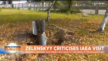 Zelenskyy hits out over nuclear watchdog's visit to Zaporizhzhia plant