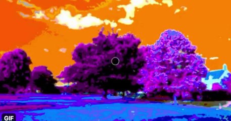 Votre cerveau voit cette photo en couleur est pourtant...