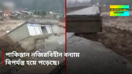 পাকিস্তান নজিরবিহীন বন্যায় বহু মানুষ যেমন প্রাণ হারিয়েছেন, পাশাপাশি প্রায় ৭ লাখ গবাদি পশু মারা গিয়েছে। আর দেশটি এখন 'জলবায়ু সংকটের কেন্দ্রবিন্দু'।