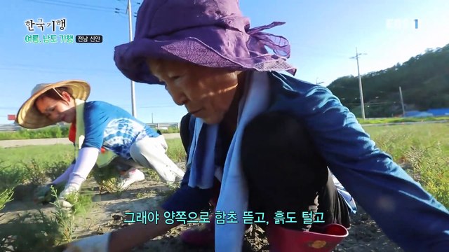 한국기행 - Korea travel_여름, 남도 기행 5부- 그녀의 섬, 비금도_#001