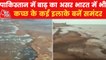 Video: Pakistan flood water enter Kutch in Gujarat