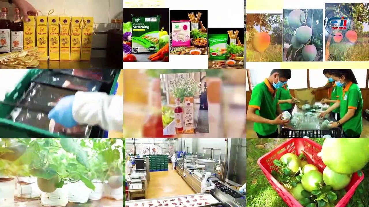 Khấm khá từ nghề nuôi cá lóc bông (phần 2)