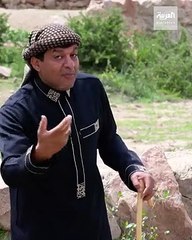 الزعاق: 15 سبتمبر أول أيام موسم الصفري.. موعد الزراعة الخريفية والأمراض الموسمية