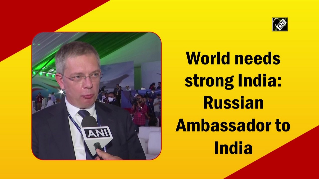 World needs strong India: Russian Ambassador to India