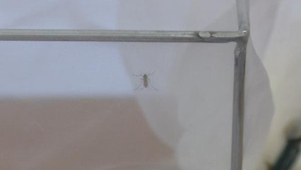 YUNANİSTAN'DA CAN ALDI TÜRKİYE İÇİN UYARI GELDİ