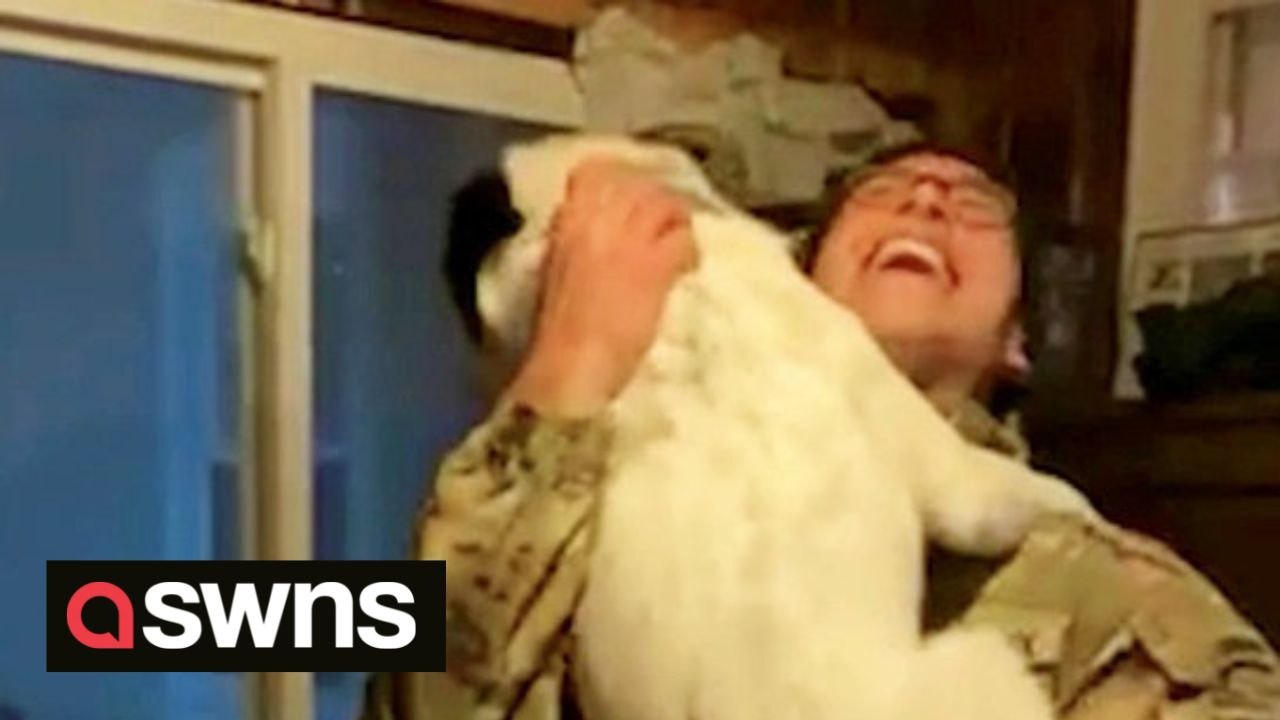 Heartwarming moment US soldier is reunited with beloved dog after 10 months apart