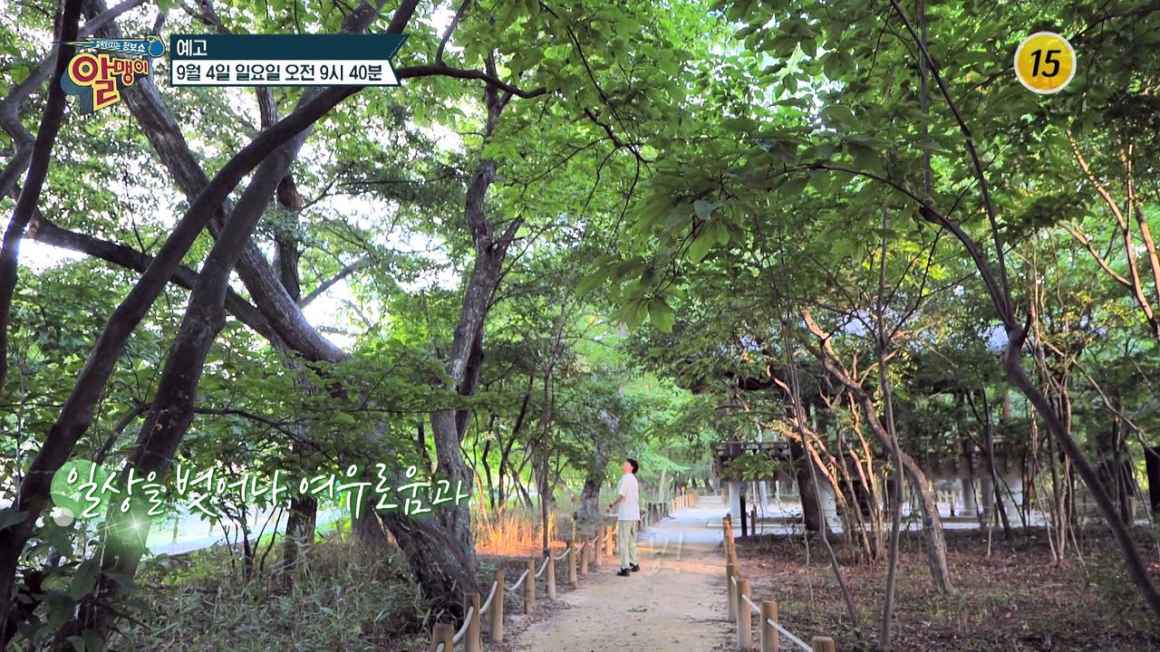 일상 생활 속 뇌 건강 지키는 특급 비법은?_알맹이 193회 예고 TV CHOSUN...