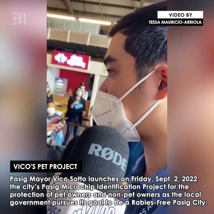 Vico’s Pet Project