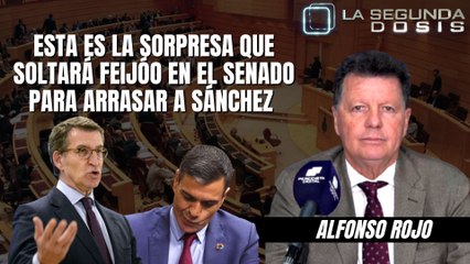 Esta es la sorpresa que soltará Feijóo en el Senado para arrasar a Sánchez