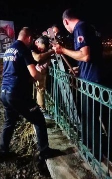 Irmak kenarında mahsur kalan köpeği itfaiye kurtardı