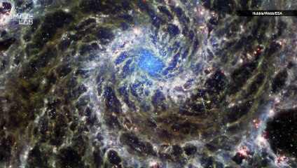 The James Webb Space Telescope Enters ‘Transformative Moment’ Captures Image of Alien World