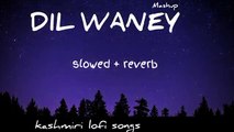   [ Slowed + Reverb ] -Anu Anaf | Lofi songs kashmiri loFi songs