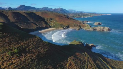 Dans le Golfe de Gascogne, l'écosystème marin plus que jamais menacé
