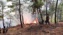 Hatay gündem: Hassa'daki ormanlık alanda çıkan yangına müdahale ediliyor