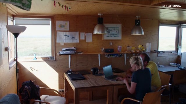 Riscaldamento globale: Wadden Zee, la riserva naturale minacciata