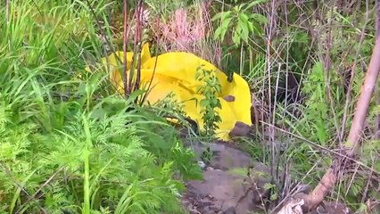 Más de 1,500 estudiantes hondureños han sido asesinados entre 2010 y 2018 _ Observatorio