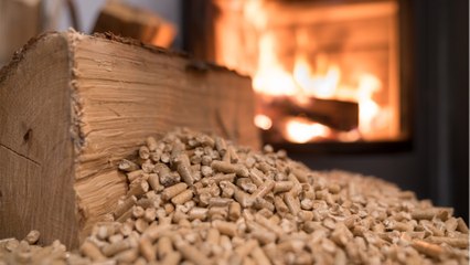 Chauffage au poêle à granulés : les producteurs de pellets accusés de faire  monter les prix - Vidéo Dailymotion