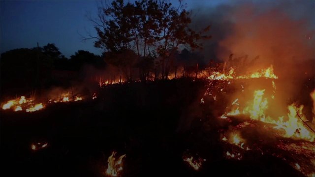 Illegal Deforestation in Brazilian Amazon Leads to Thousands of Fires