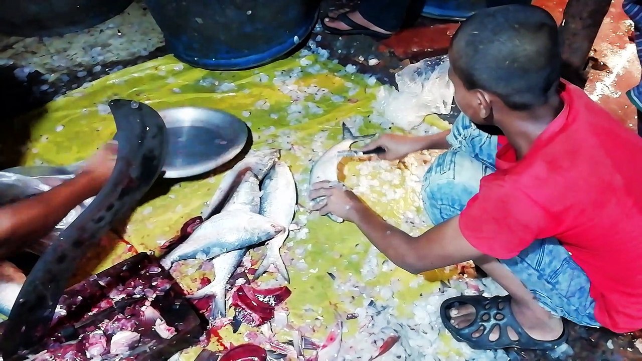 Amazing Night Time fish Cutting Video