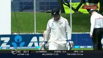Ishant Sharma _ON FIRE (RARE)_ 6 Wickets for 51 vs New Zealand 2nd Test 2014 HD