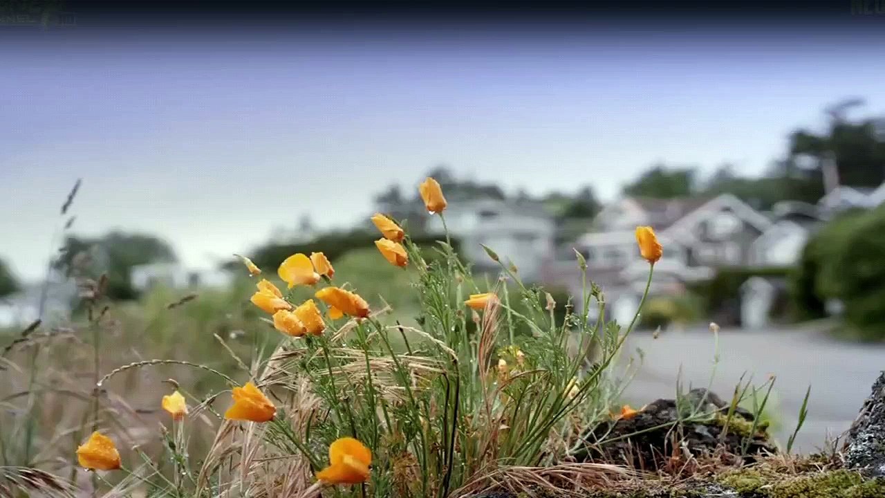 Cedar Cove - Das Gesetz des Herzens Staffel 1 Folge 1 - Part 01 HD Deutsch