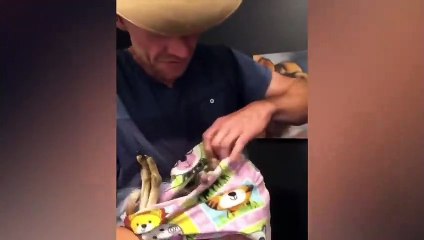 Ozzy Man Reviews Kangaroos