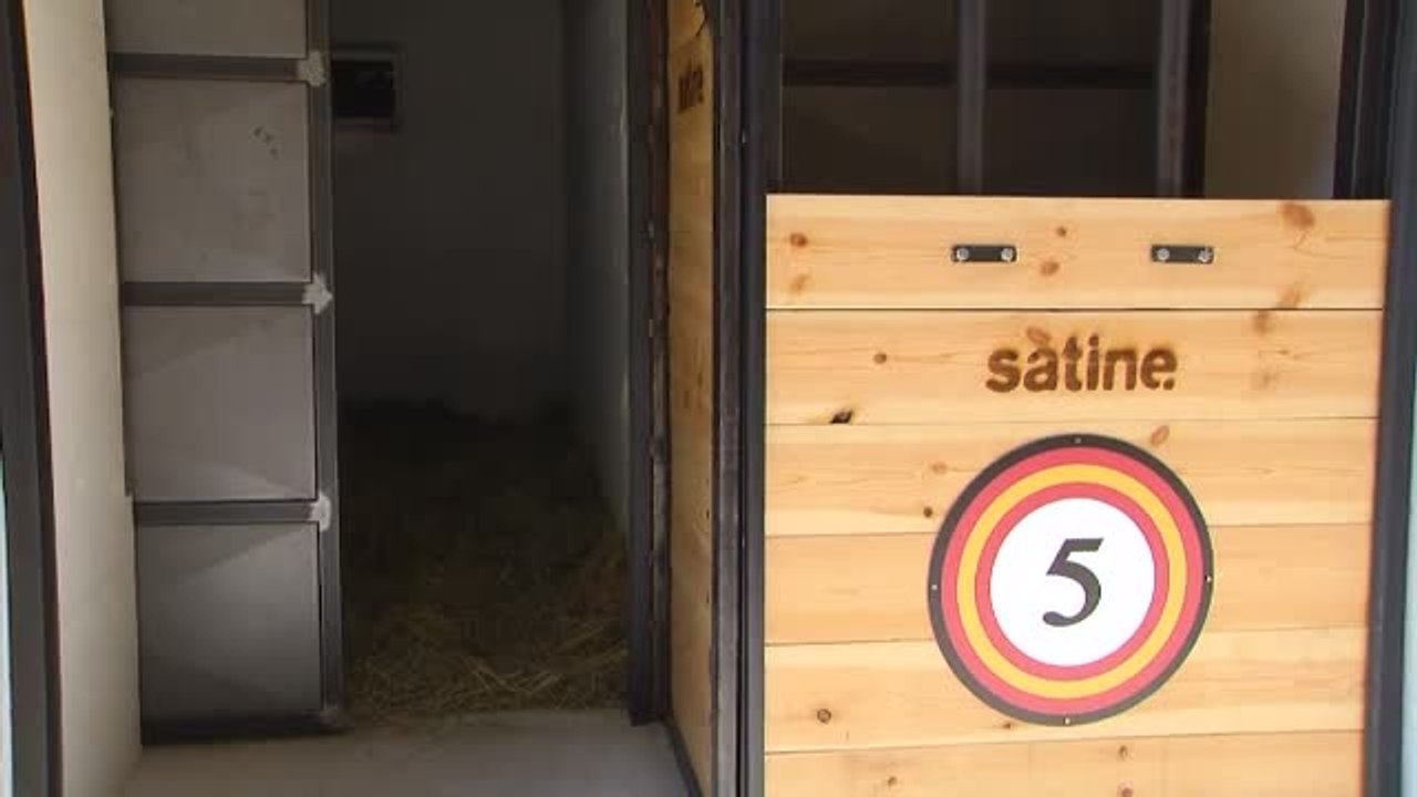 Los chiqueros de Burriana, los primeros en estar automatizados