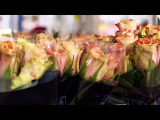 Mega Air Transports Episode 1