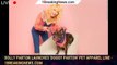 Dolly Parton launches 'Doggy Parton' pet apparel line - 1breakingnews.com