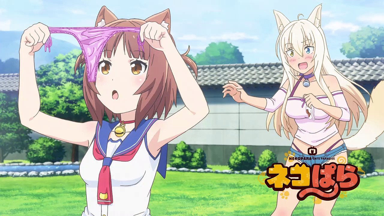 Nekopara Staffel 1 Folge 8 HD Deutsch
