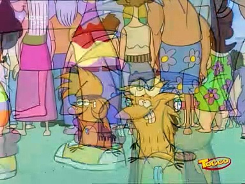 Die Biber Brüder Staffel 1 Folge 25 HD Deutsch