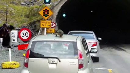 Ozzy Man Reviews Animals VS Technology