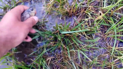 Ozzy Man Reviews Humans Being Nice